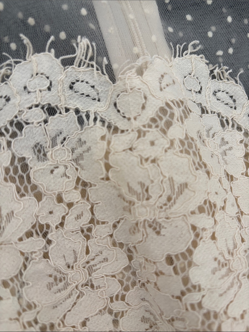 Fashion Nova Sheer Cream Lace Blouse with Black Tie - Picture 5 of 9